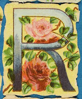 Alphabets: Decorative Flower Alphabet - R