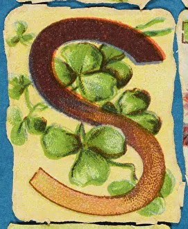 Shamrock: Decorative Flower Alphabet - S