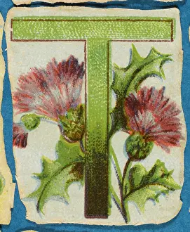 Alphabets: Decorative Flower Alphabet - T