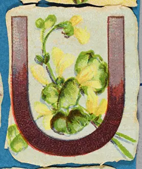 Alphabets: Decorative Flower Alphabet - U