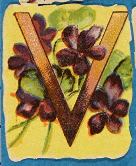 Alphabets: Decorative Flower Alphabet - V