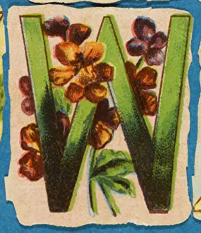 Alphabets: Decorative Flower Alphabet - W