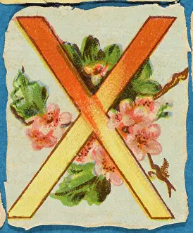 Alphabets: Decorative Flower Alphabet - X