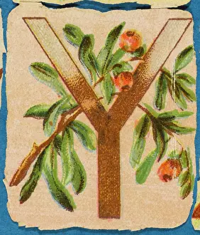 Alphabets: Decorative Flower Alphabet - Y
