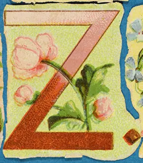 Alphabets: Decorative Flower Alphabet - Z