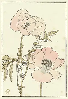 Pochoir: Poppy