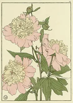 Pochoir: Peony