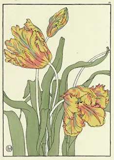 Pochoir: Tulip