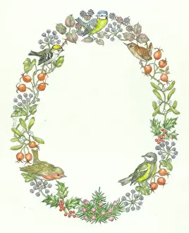 Blackberries: A decorative frame featuring robins and blue tits