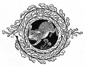Heywood: Decorative hare