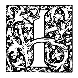 Photo Engraving: Decorative initial