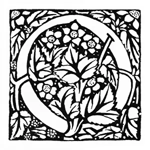 Photo Engraving: Decorative initial