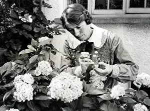 Hydrangea: Decorative model hydrangea flowers by Miss Beatrice Hindley