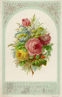 Myosotis: Decorative Roses