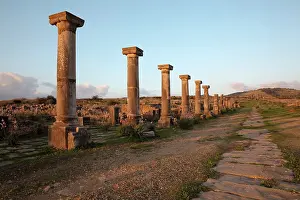 Decumanus: Decumanus Maximus and Forum columns, Volubilis