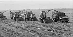 Integrated: Dedin floodplain meadows