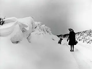 Snowdrifts: Deep snowdrifts near Crediton, Devon
