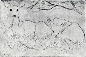 Tooby: Two Deer