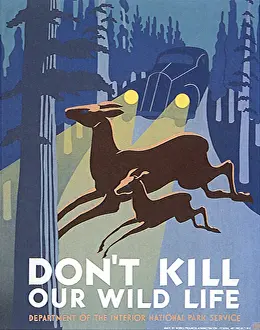 Headlights: Deer Crossing Road