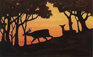 Auburn: Deer at Dusk