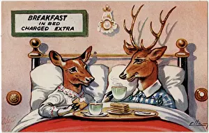 Cuppa: Two Deer enjoy Breakfast in Bed (charged extra)