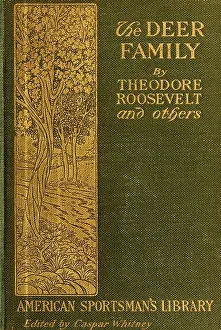 Contributors: THE DEER FAMILY was first published in 1902 ?