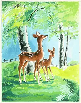 Bracken: Deer and fawn with birch trees and bracken