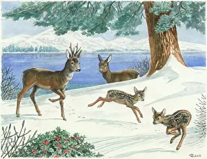 Lees: Deer with fawns in the snow by lakeside