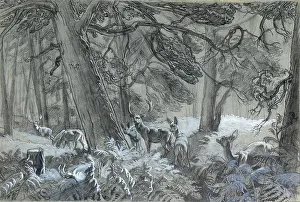 Ferns: Deer in the forest