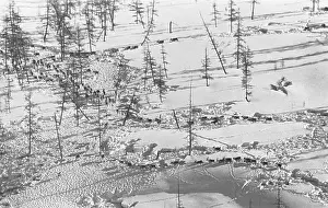 Muravin: Deer herd, 1969