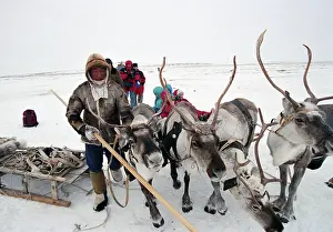 Autonomous: Deer herders settlement
