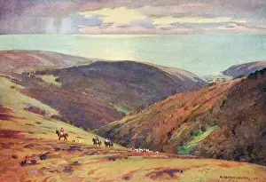 Porlock: DEER HUNT ON EXMOOR