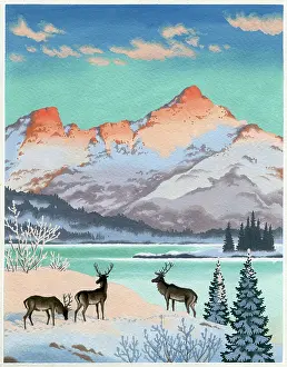 Stags: Deer by a lake and mountains