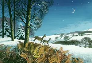 Bracken: Two Deer in a Moonlit Snowscene