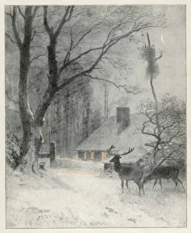 Closer: Deer Near House