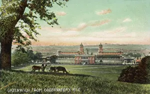 Meridian: DEER ON OBSERVATORY HILL