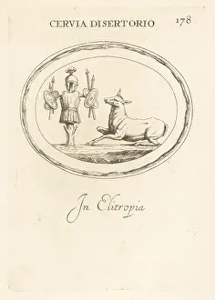 Heliotrope: The deer of Quintus Sertorius, Roman general