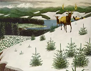 Mountainside: Deer in Snow Mountain