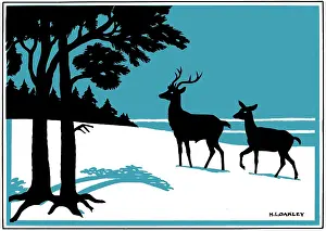 Stags: Two Deer in the Snow (two-colour design)