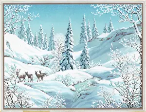 Glade: Deer in a snowy glade