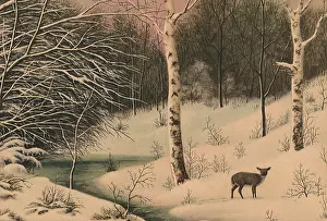 Sycamore: Deer in a Snowy Land