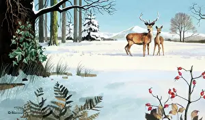 Bracken: Deer in Snowy Landscape