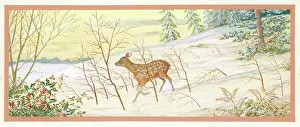 Bracken: A deer in a snowy landscape