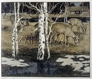 Birches: Deer in the springtime at the side of a river