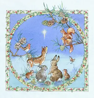 Cloke: Deer, squirrels, robin etc