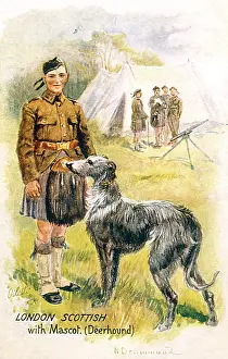 Mascots: DEERHOUND MASCOT