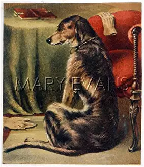 Thoughtfully: DEERHOUND SITTING