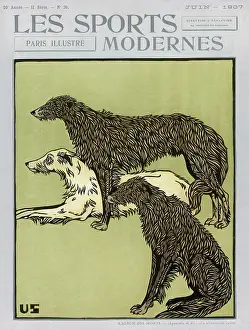 Deerhound: Deerhounds on Cover