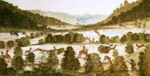 Jagd: The deerhunt with crossbow