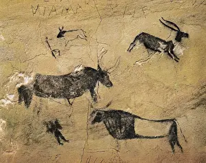 Mesolithic: Deers and cows in naturalistic-stylized style